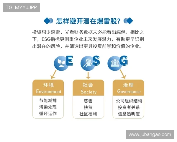 摩鑫平台风险控制策略分析，保障投资安全的关键措施有哪些